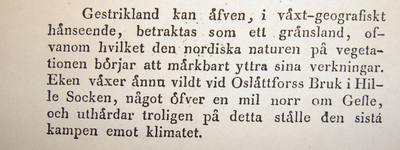 Foto 3 av 3 i avsnittet Ekskogsbeståndet, originalrapportens sida 5