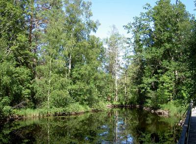 Foto 5 av 19 i avsnittet Engelska Parken – f.d. beteshagarna nedströms Oslättfors bruk, originalrapportens sida 9