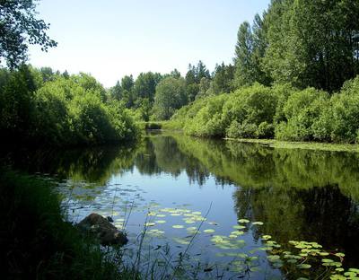 Foto från Stora Gustavsholmen (Myrsön), originalets sida 14