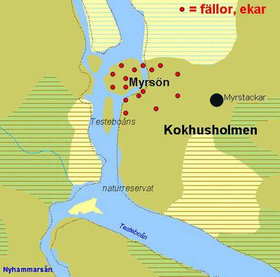 Foto 3 av 24 i avsnittet Kokhusholmen med ”Myrsön” (norra Gustafsholmen), originalrapportens sida 14