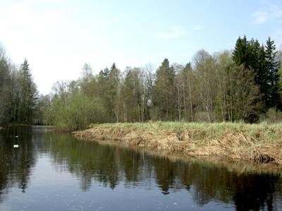 Foto 5 av 50 i avsnittet Nyhammarsån, originalrapportens sida 23