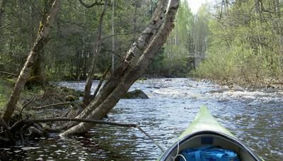 Foto 12 av 50 i avsnittet Nyhammarsån, originalrapportens sida 24