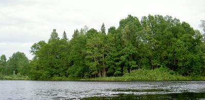 Foto från Forsbyholm, originalets sida 31