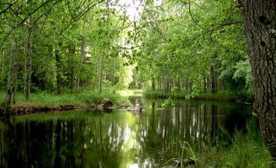 Foto 5 av 25 i avsnittet Forsbyholm, originalrapportens sida 32