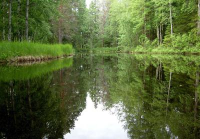 Foto 4 av 6 i avsnittet Arkipelagen uppströms Forsbyholm, originalrapportens sida 37