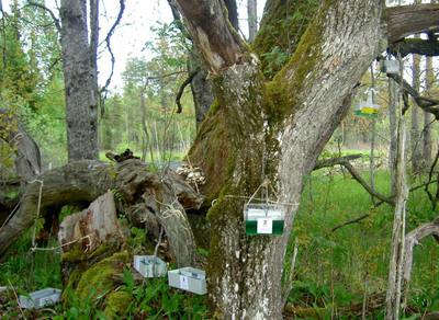 Foto 5 av 11 i avsnittet Grytströmmen, originalrapportens sida 39