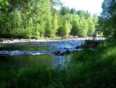 Foto 3 av 4 i avsnittet Ekområdet uppströms Brännsågen, originalrapportens sida 41
