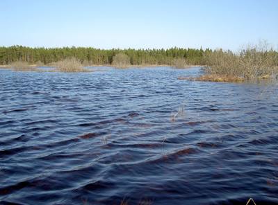Foto 3 av 3 i avsnittet Tillägg till ovanstående beskrivning, juni 2006, originalrapportens sida 44