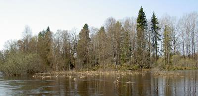 Foto 2 av 17 i avsnittet Nyhammarsån (juni 2006), originalrapportens sida 47