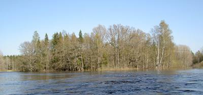 Foto 1 av 9 i avsnittet Forsbyholm (juni 2006), originalrapportens sida 52