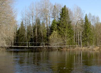 Foto 2 av 9 i avsnittet Forsbyholm (juni 2006), originalrapportens sida 52