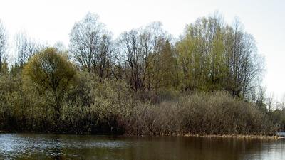 Foto 6 av 9 i avsnittet Forsbyholm (juni 2006), originalrapportens sida 53