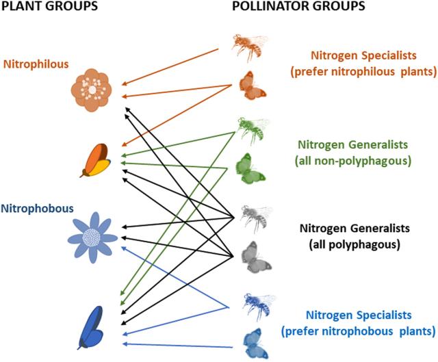 Figure from: Soil eutrophication shaped the composition of pollinator assemblages during the past century