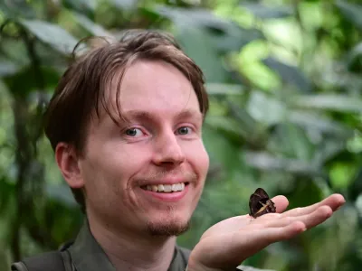 Walking with Butterflies in the Amazon's Understory; A dispatch from Cocha Cashu Biological Station, Manu National Park, Peru