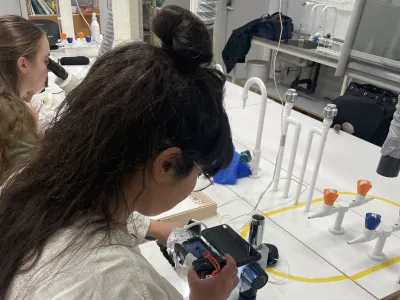Karoline photographing specimens for barcoding.