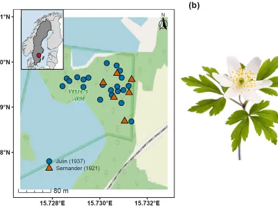 A century of meadow abandonment leaves a species-poor forest floor