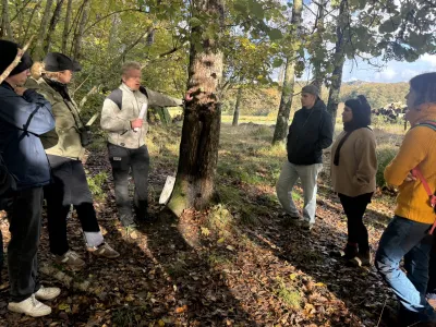 Mats Niklasson discusses habitat management beside an oak in the Ecopark.